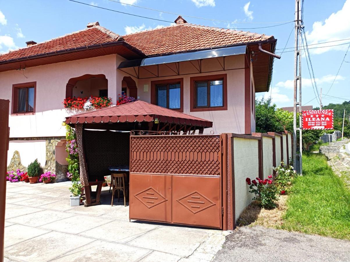 Pensiunea Ileana Novaci-Straini Ngoại thất bức ảnh