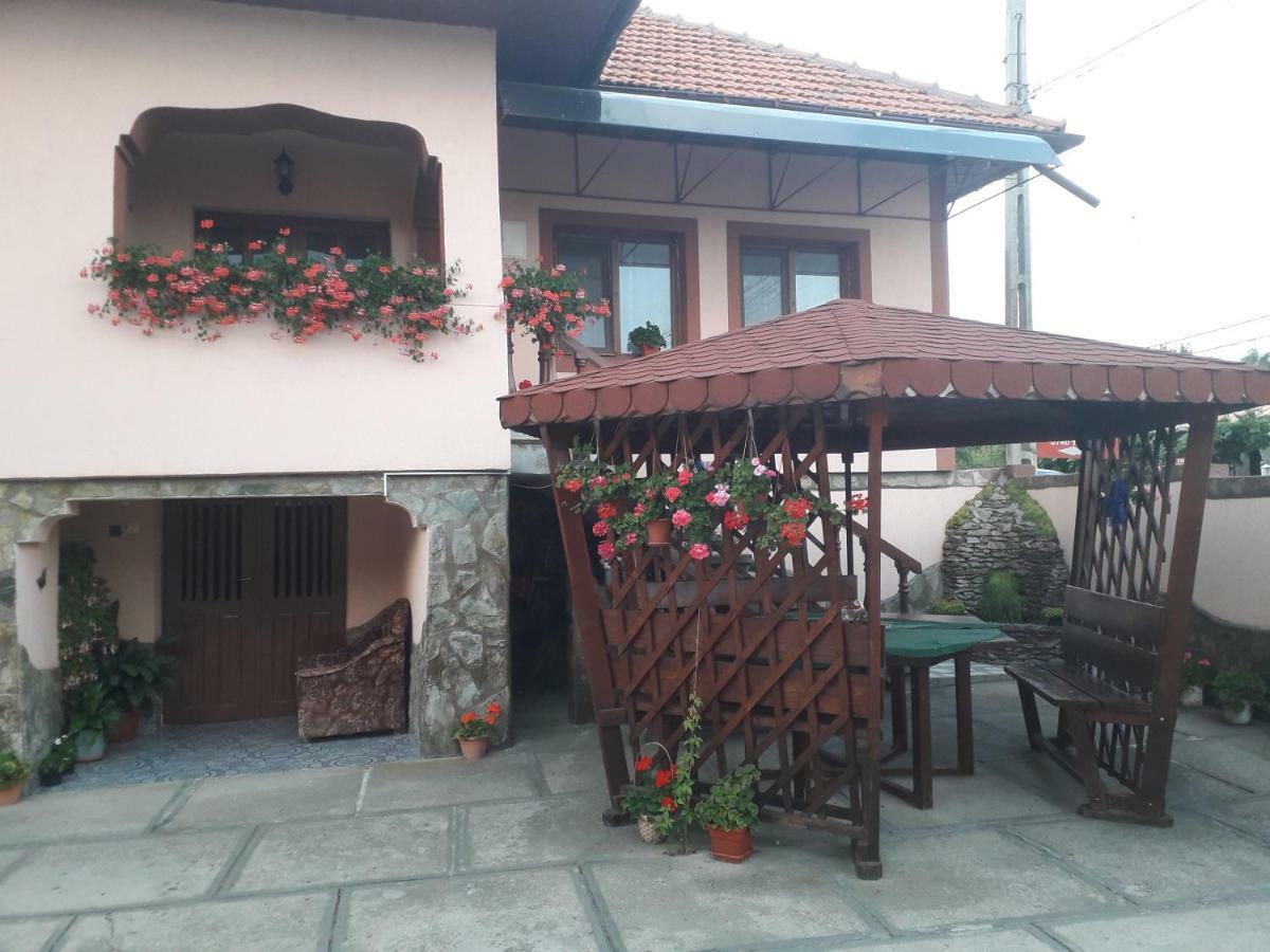 Pensiunea Ileana Novaci-Straini Ngoại thất bức ảnh